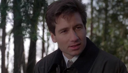 Кадры из сериала Секретные материалы (1993)