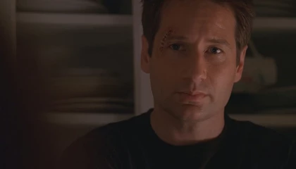 Кадры из сериала Секретные материалы (1993)